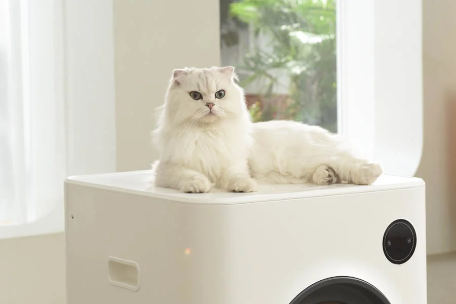 cat electric litter box