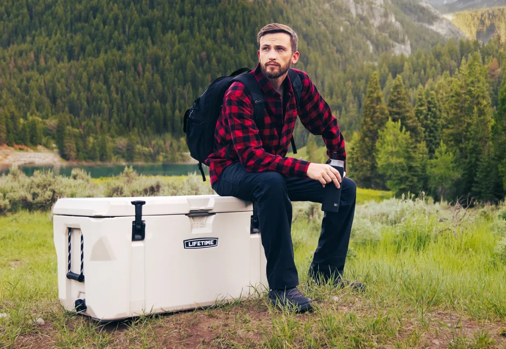 portable ice cream cooler box